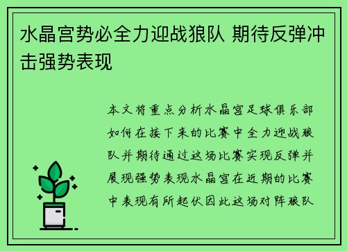 水晶宫势必全力迎战狼队 期待反弹冲击强势表现 水晶宫势必全力迎战狼队 期待反弹冲击强势表现